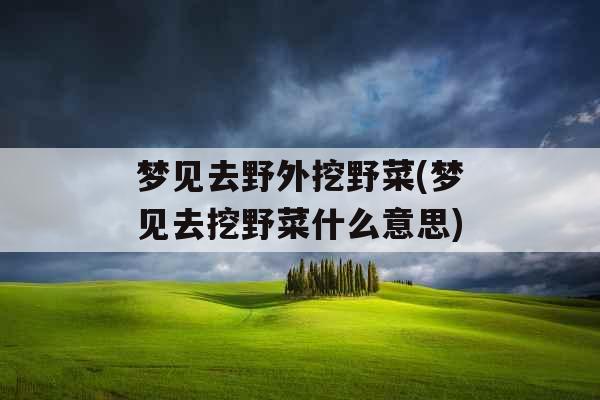 梦见去野外挖野菜(梦见去挖野菜什么意思) 梦见去野外挖野菜(梦见去挖野菜什么意思)