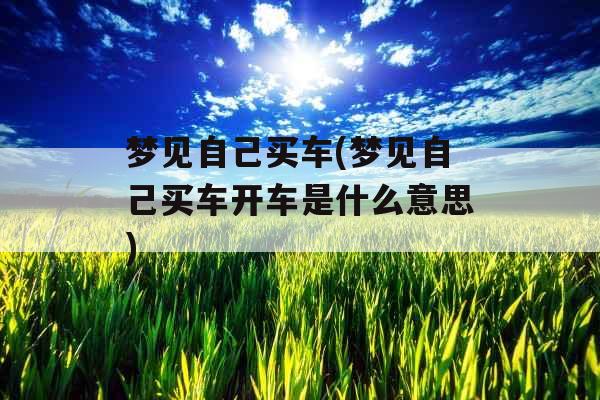 梦见自己买车(梦见自己买车开车是什么意思) 梦见自己买车(梦见自己买车开车是什么意思)