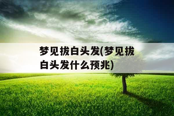 梦见拔白头发(梦见拔白头发什么预兆)