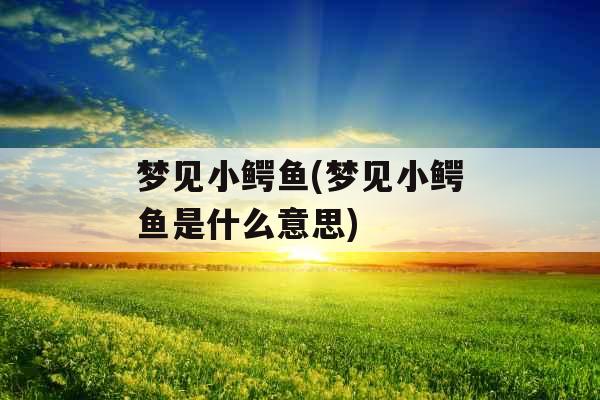 梦见小鳄鱼(梦见小鳄鱼是什么意思)