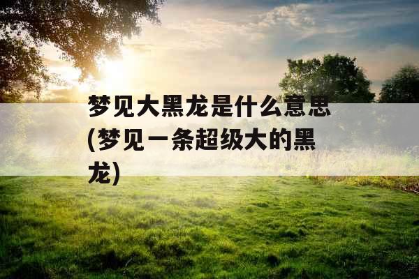 梦见大黑龙是什么意思(梦见一条超级大的黑龙)