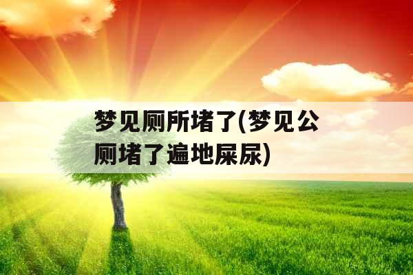 梦见厕所堵了(梦见公厕堵了遍地屎尿) 梦见厕所堵了(梦见公厕堵了遍地屎尿)