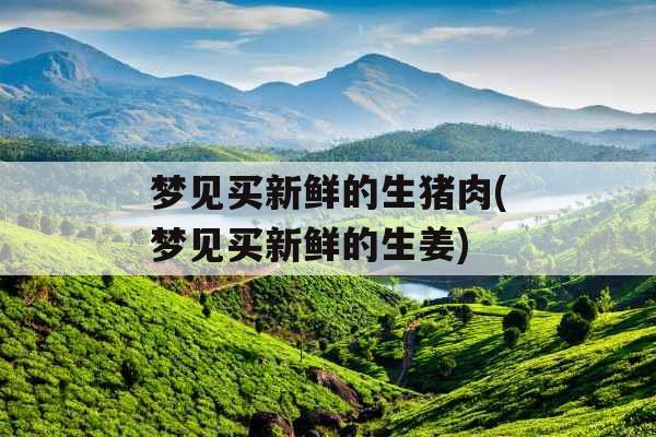 梦见买新鲜的生猪肉(梦见买新鲜的生姜)