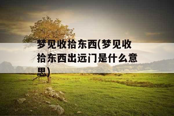 梦见收拾东西(梦见收拾东西出远门是什么意思) 梦见收拾东西(梦见收拾东西出远门是什么意思)