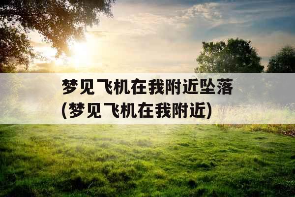 梦见飞机在我附近坠落(梦见飞机在我附近)