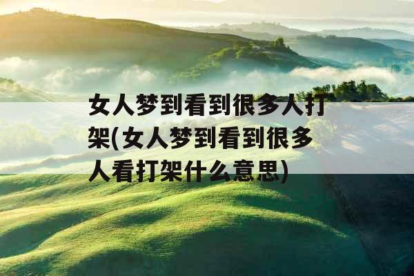 女人梦到看到很多人打架(女人梦到看到很多人看打架什么意思)