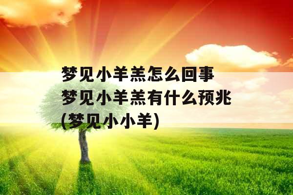 梦见小羊羔怎么回事 梦见小羊羔有什么预兆(梦见小小羊) 梦见小羊羔怎么回事 梦见小羊羔有什么预兆(梦见小小羊)