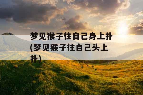 梦见猴子往自己身上扑(梦见猴子往自己头上扑)