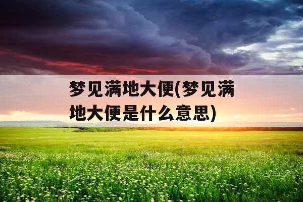 梦见满地大便(梦见满地大便是什么意思)