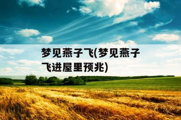 梦见燕子飞(梦见燕子飞进屋里预兆)