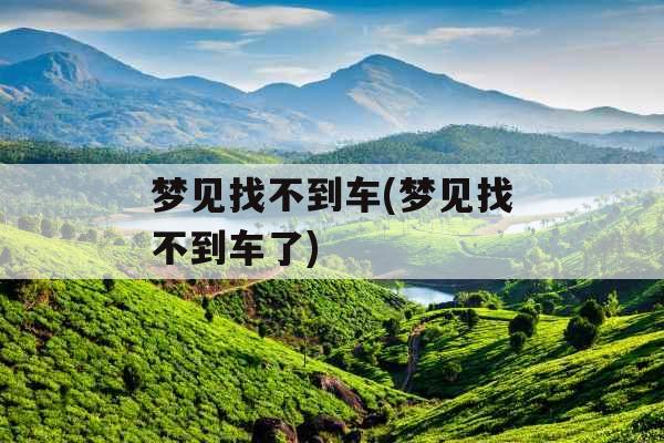 梦见找不到车(梦见找不到车了)