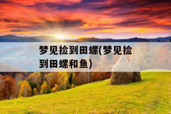梦见捡到田螺(梦见捡到田螺和鱼)