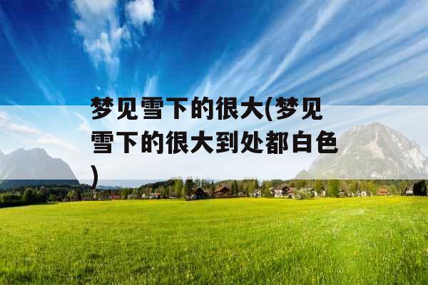 梦见雪下的很大(梦见雪下的很大到处都白色)