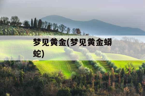 梦见黄金(梦见黄金蟒蛇)
