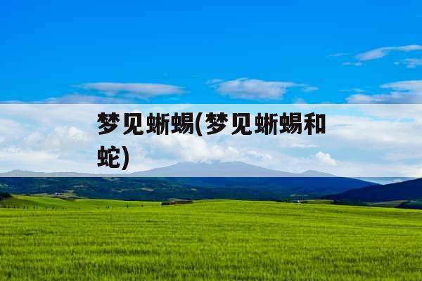 梦见蜥蜴(梦见蜥蜴和蛇)