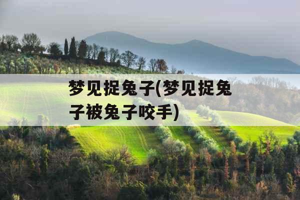 梦见捉兔子(梦见捉兔子被兔子咬手) 梦见捉兔子(梦见捉兔子被兔子咬手)