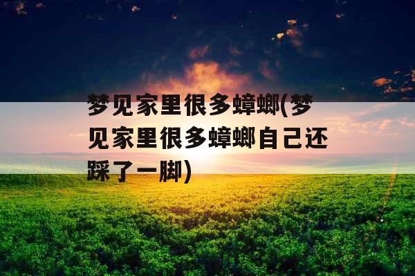 梦见家里很多蟑螂(梦见家里很多蟑螂自己还踩了一脚)