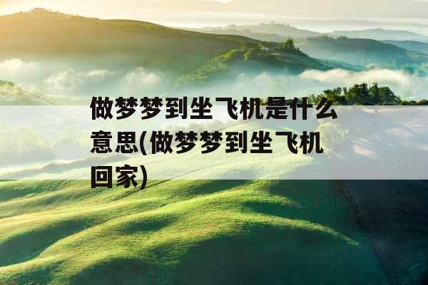 做梦梦到坐飞机是什么意思(做梦梦到坐飞机回家)