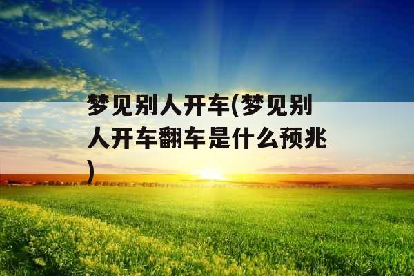 梦见别人开车(梦见别人开车翻车是什么预兆)