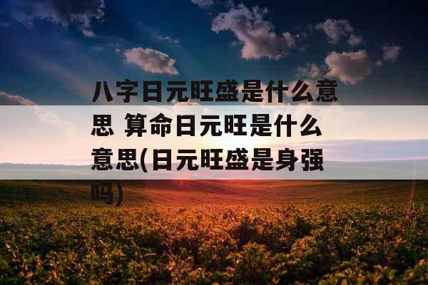 八字日元旺盛是什么意思 算命日元旺是什么意思(日元旺盛是身强吗)