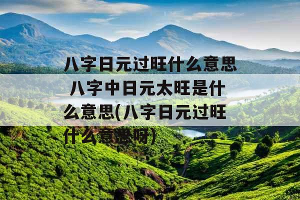 八字日元过旺什么意思 八字中日元太旺是什么意思(八字日元过旺什么意思呀)