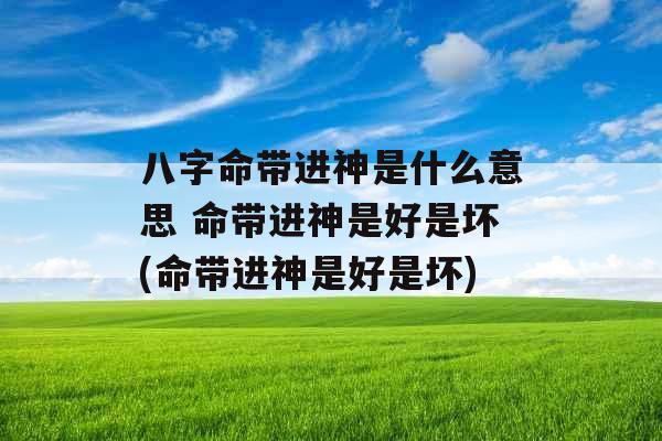 八字命带进神是什么意思 命带进神是好是坏(命带进神是好是坏)