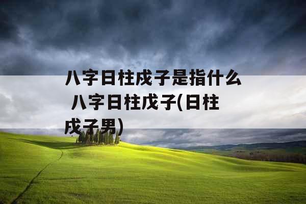 八字日柱戍子是指什么 八字日柱戊子(日柱戌子男)