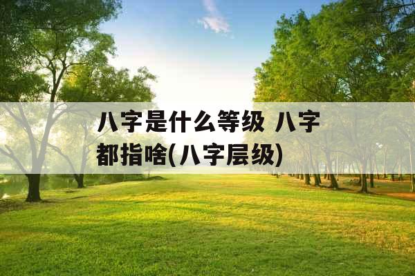 八字是什么等级 八字都指啥(八字层级)