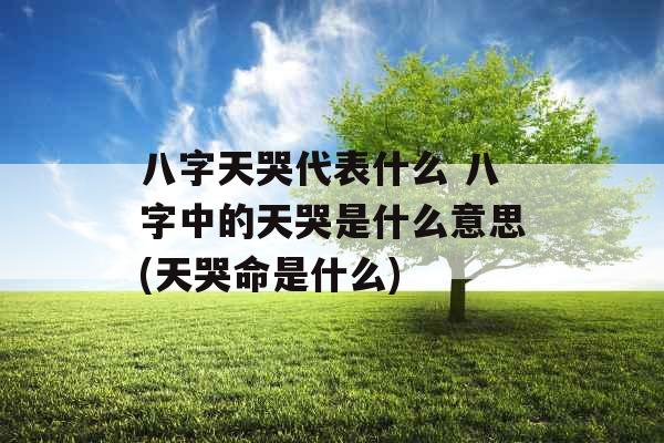 八字天哭代表什么 八字中的天哭是什么意思(天哭命是什么)