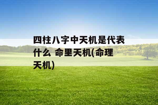 四柱八字中天机是代表什么 命里天机(命理天机)