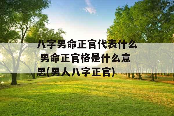 八字男命正官代表什么 男命正官格是什么意思(男人八字正官) 八字男命正官代表什么 男命正官格是什么意思(男人八字正官)