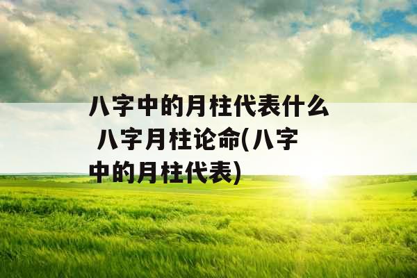 八字中的月柱代表什么 八字月柱论命(八字中的月柱代表)