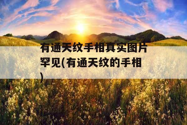 有通天纹手相真实图片罕见(有通天纹的手相)