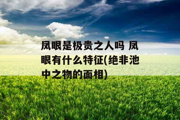 凤眼是极贵之人吗 凤眼有什么特征(绝非池中之物的面相)