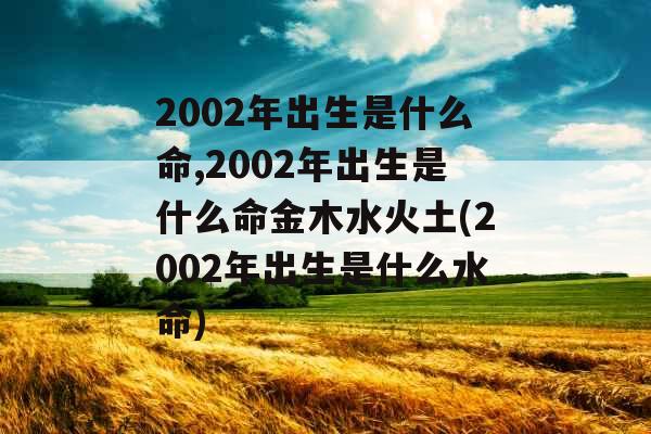 2002年出生是什么命,2002年出生是什么命金木水火土(2002年出生是什么水命)