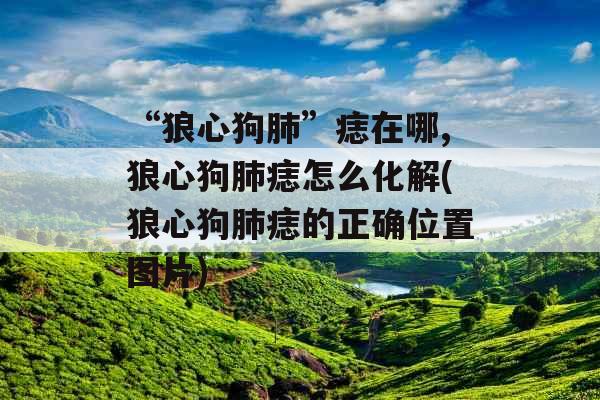 “狼心狗肺”痣在哪,狼心狗肺痣怎么化解(狼心狗肺痣的正确位置图片)