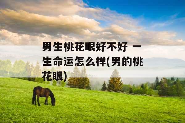 男生桃花眼好不好 一生命运怎么样(男的桃花眼) 男生桃花眼好不好 一生命运怎么样(男的桃花眼)