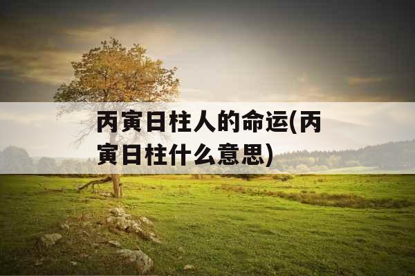 丙寅日柱人的命运(丙寅日柱什么意思) 丙寅日柱人的命运(丙寅日柱什么意思)
