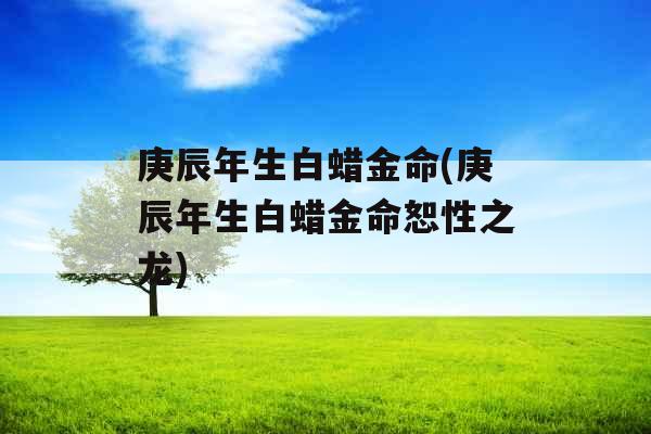 庚辰年生白蜡金命(庚辰年生白蜡金命恕性之龙)