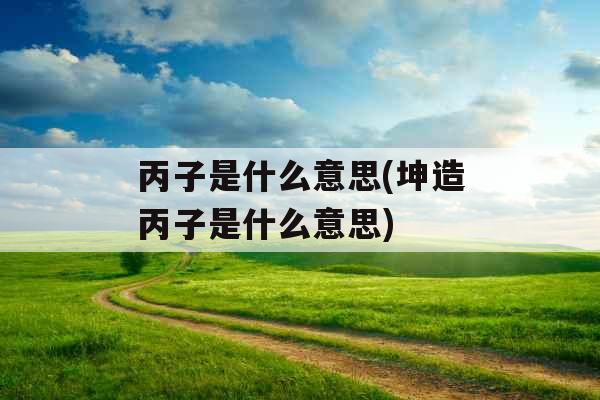 丙子是什么意思(坤造丙子是什么意思) 丙子是什么意思(坤造丙子是什么意思)