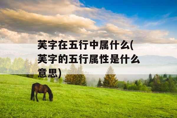 芙字在五行中属什么(芙字的五行属性是什么意思)