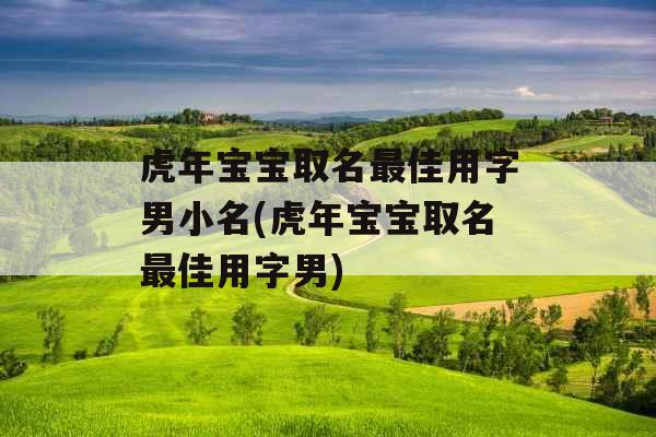 虎年宝宝取名最佳用字男小名(虎年宝宝取名最佳用字男) 虎年宝宝取名最佳用字男小名(虎年宝宝取名最佳用字男)