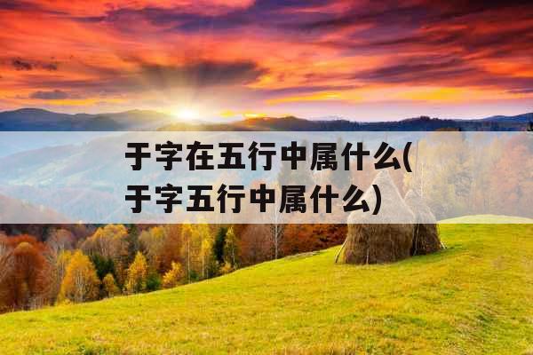 于字在五行中属什么(于字五行中属什么)