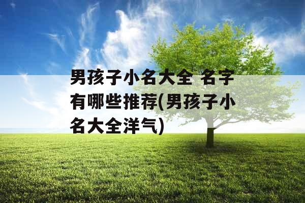 男孩子小名大全 名字有哪些推荐(男孩子小名大全洋气) 男孩子小名大全 名字有哪些推荐(男孩子小名大全洋气)
