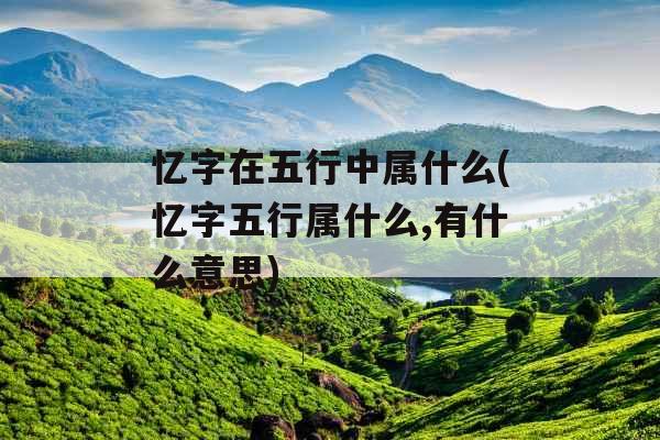 忆字在五行中属什么(忆字五行属什么,有什么意思)