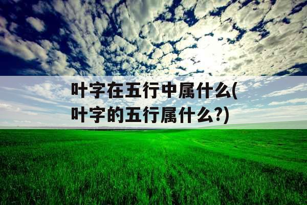 叶字在五行中属什么(叶字的五行属什么?) 叶字在五行中属什么(叶字的五行属什么?)