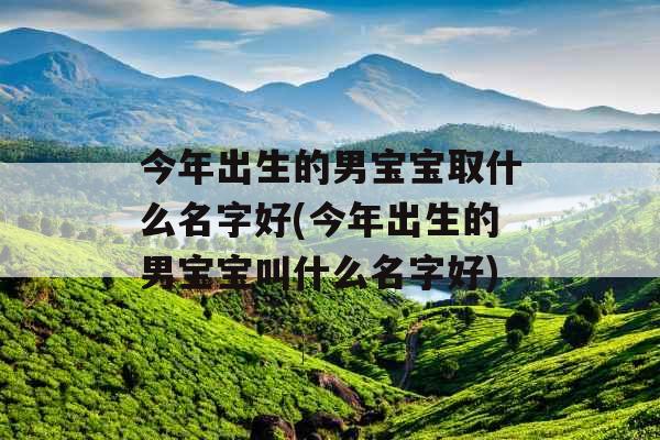 今年出生的男宝宝取什么名字好(今年出生的男宝宝叫什么名字好)