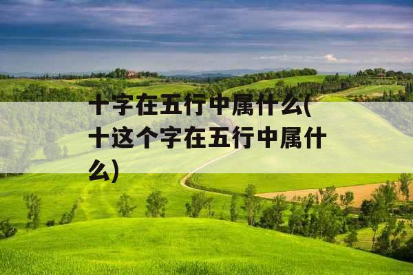 十字在五行中属什么(十这个字在五行中属什么)