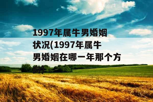 1997年属牛男婚姻状况(1997年属牛男婚姻在哪一年那个方向)