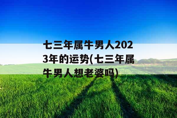 七三年属牛男人2023年的运势(七三年属牛男人想老婆吗)